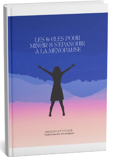 Ebook-Menopattitude
